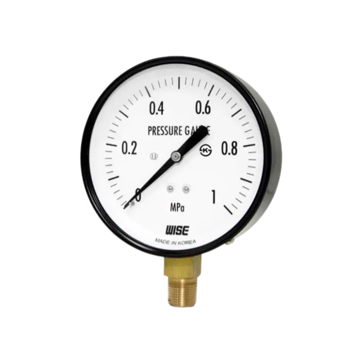 ĐỒNG HỒ ÁP SUẤT WISE P110 - 100A - DẢI ĐO 0-1MPa - 3/8PF